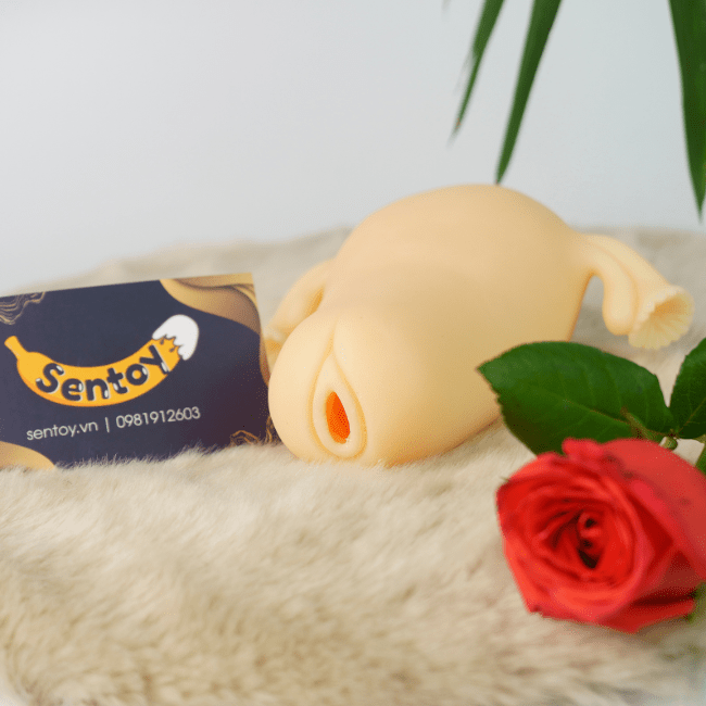 Âm đạo giả ManMiao Real Uterus mô phỏng tử cung phụ nữ (3)