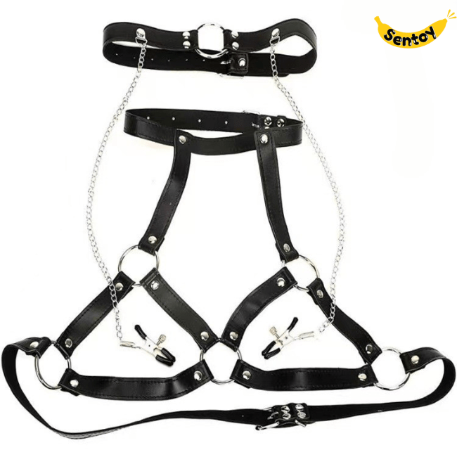 Đồ chơi bạo dâm BDSM Xích cổ kẹp vú tăng hưng phấn (5)