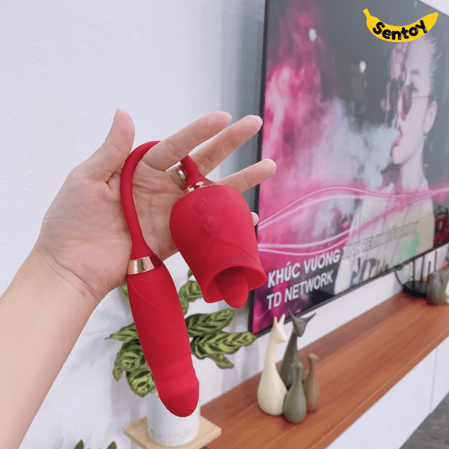 Trứng rung hoa hồng 2 đầu liếm rung thụt (1)