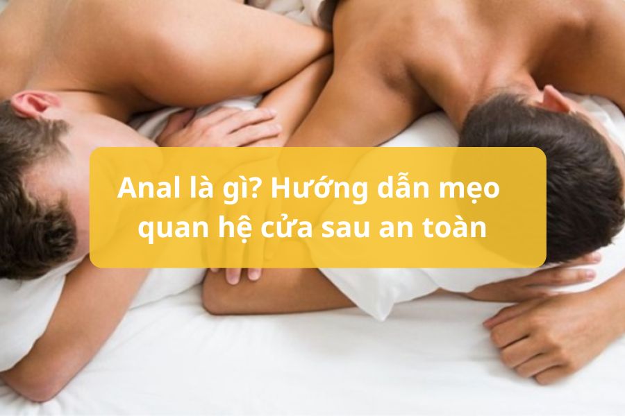 annal-1